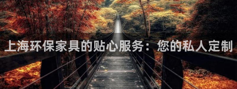 沐鸣平台登录方式：上海环保家具的贴心服务：您的私人定制
