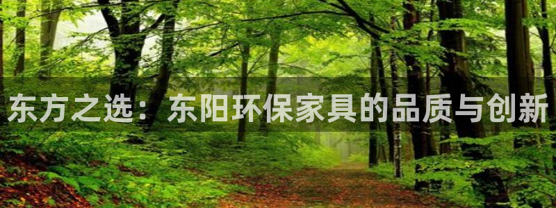 沐鸣官网app：东方之选：东阳环保家具的品质与创新