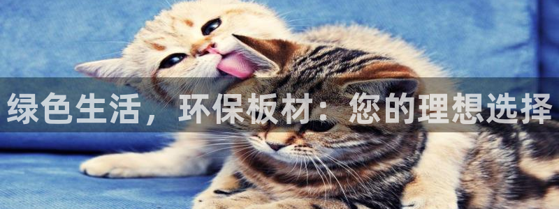 沐鸣平台娱乐：绿色生活，环保板材：您的理想选择