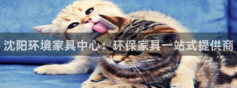 沐鸣平台几年了：沈阳环境家具中心：环保家具一站式提供商