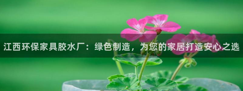 沐鸣如何注册：江西环保家具胶水厂：绿色制造，为您的家居打造安