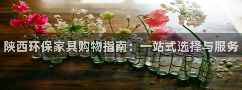 沐鸣代理注册中心：陕西环保家具购物指南：一站式选择与服务
