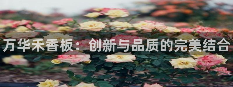 沐鸣官网主管