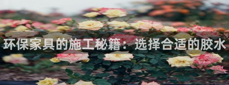 沐鸣官网网站：环保家具的施工秘籍：选择合适的胶水
